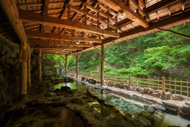 sakunamionsen
