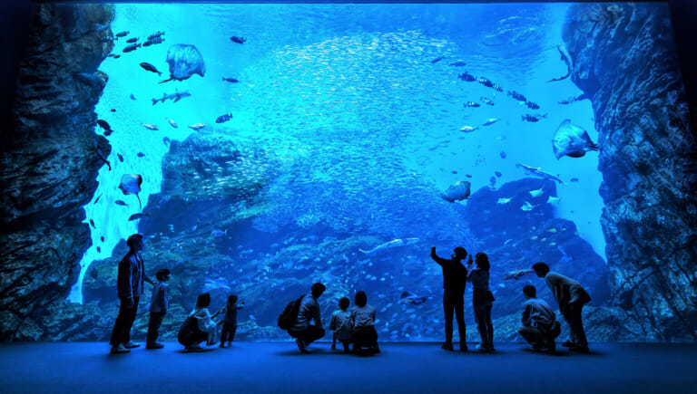 仙台うみの杜水族館
